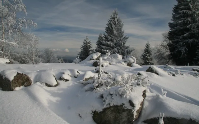 Příroda nejde naplánovat, říká ředitel Národního parku Šumava