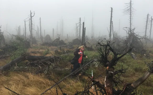 Příroda nejde naplánovat, říká ředitel Národního parku Šumava