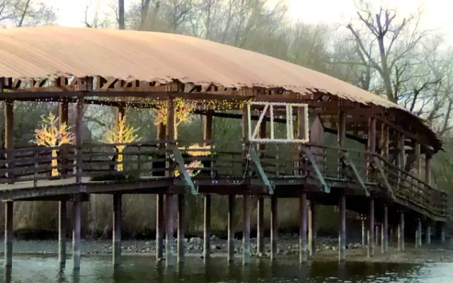 V Nasvícené zoo se objeví velký ježek