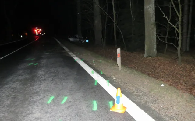 Šestačtyřicetiletý muž dostal smyk a narazil do stromu. Nehodu nepřežil