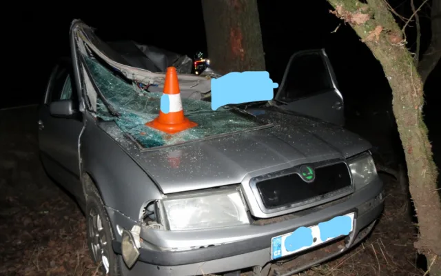 Šestačtyřicetiletý muž dostal smyk a narazil do stromu. Nehodu nepřežil