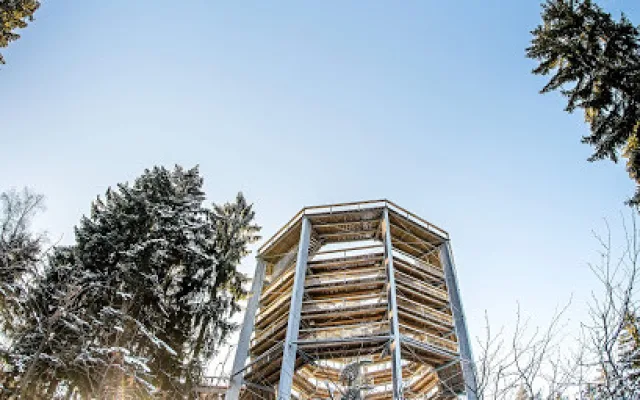 Skiareál Lipno je otevřen běžkařům