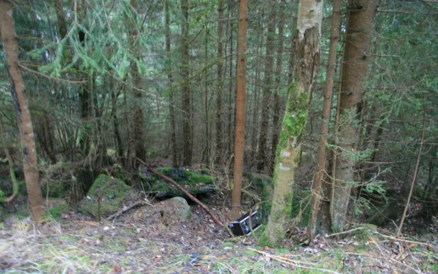 Turisté se na Šumavě baví ničením fotopastí, ze zábavy po nich hází kameny