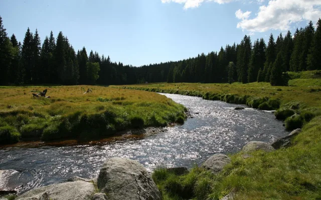 Před 30 lety vznikl NP Šumava, většinu území tvořil původně vojenský prostor