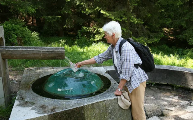 Před 30 lety vznikl NP Šumava, většinu území tvořil původně vojenský prostor