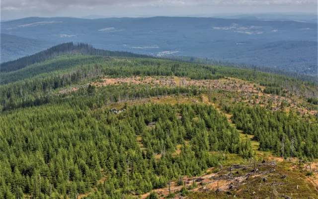 Před 30 lety vznikl NP Šumava, většinu území tvořil původně vojenský prostor