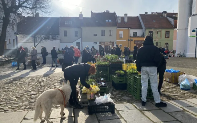 Na Piaristické náměstí se vrátily farmářské trhy