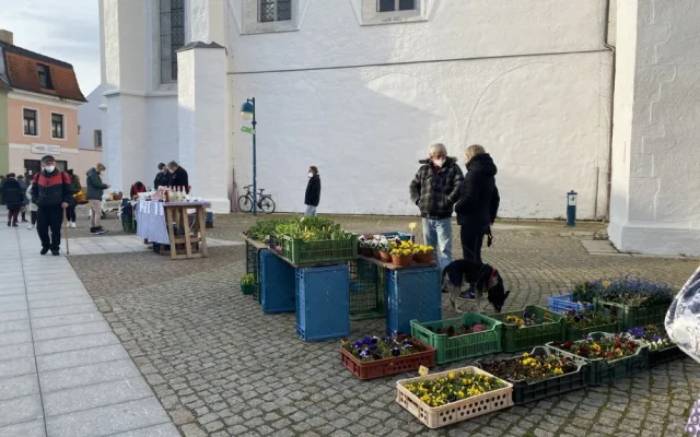 Na Piaristické náměstí se vrátily farmářské trhy
