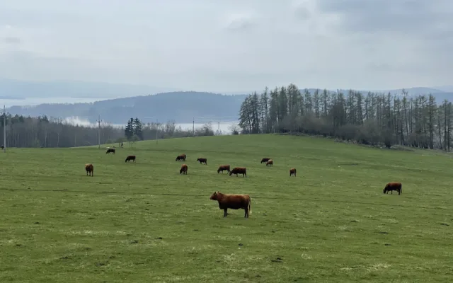 Tip na víkend: Vydejte se do Horní Plané na vyhlídku a naučnou stezku