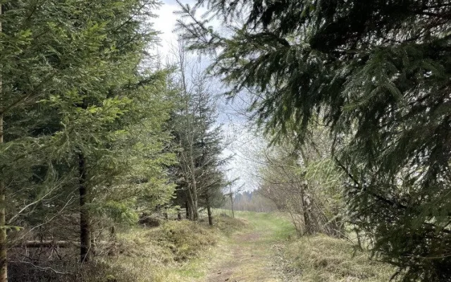 Tip na víkend: Vydejte se do Horní Plané na vyhlídku a naučnou stezku