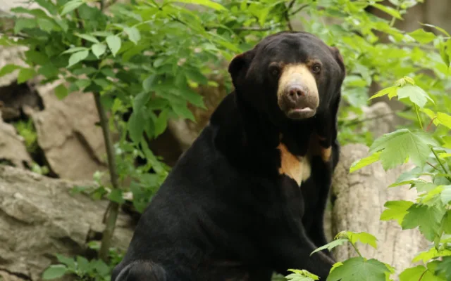 Zoo se znovu otevřela. Na návštěvníky se těšila i zvířata