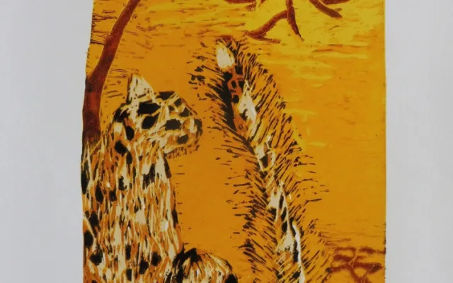 Hana Čejková, 7, Afrika