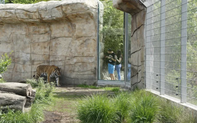Zoo Hluboka nad Vltavou