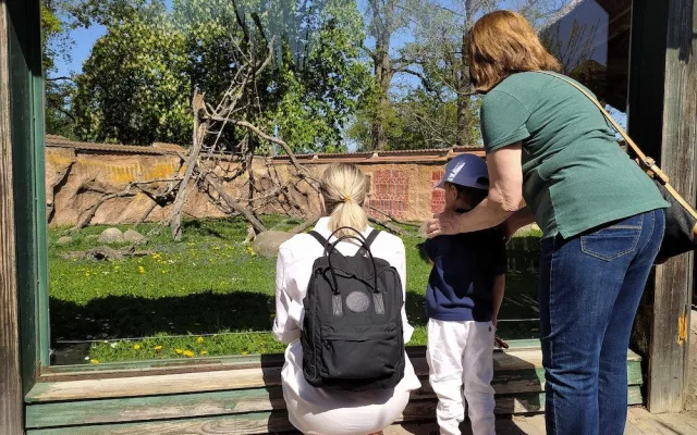 Zoo Hluboká je otevřena