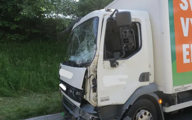 Tragická dohra nehody u Hracholusk. Těžce poraněné dítě zemřelo v nemocnici