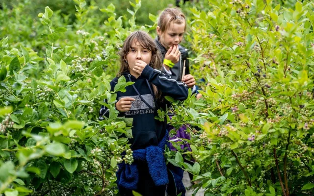 Vstupenky na Borůvkobraníčko je nutné předem rezervovat, na místě již nebudou k dispozici