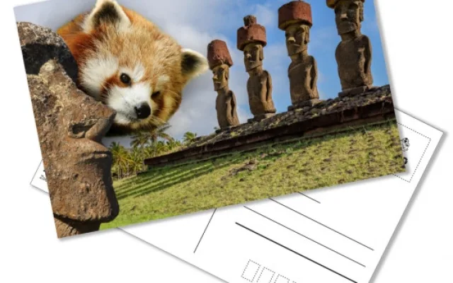 V Zoo Jihlava můžete poslat zvíře na dovolenou