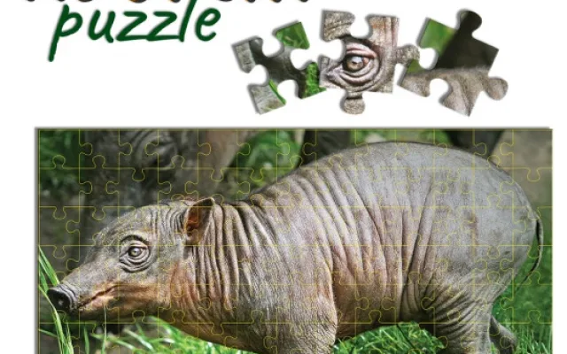 V Zoo Jihlava můžete poslat zvíře na dovolenou