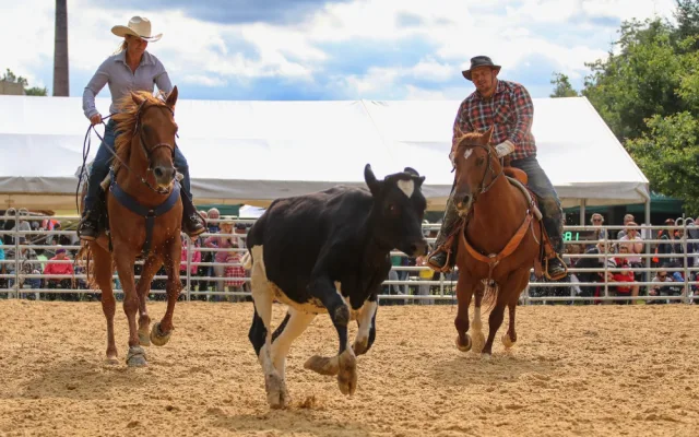 Přijďte na sobotní rodeo do Boršova
