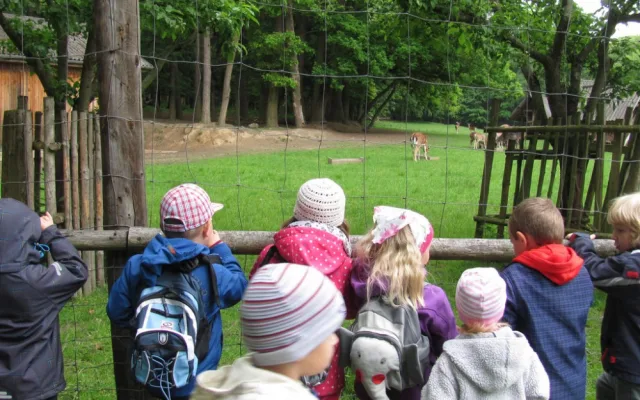 O lese je nejlepší učit v lese. Lesní pedagogika přibližuje děti k přírodě, říká Martina Skřivanová