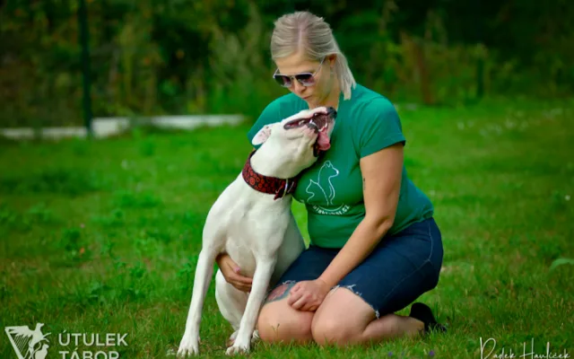 Mladá fenka argentinské dogy hledá nový domov. Nechbet miluje mazlení a chce poznávat svět