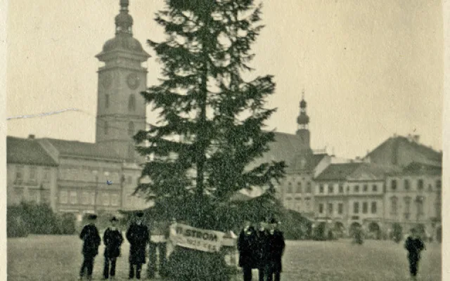 Foto stromu 20. 12. 1925