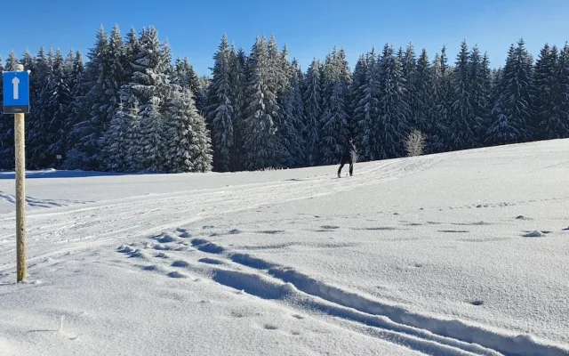 Pololetní prázdniny na sněhu pro celou rodinu ve Skiareálu Lipno