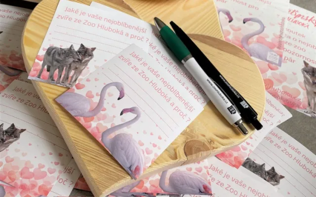 Zoo Hluboká zve nejen na valentýnský víkend