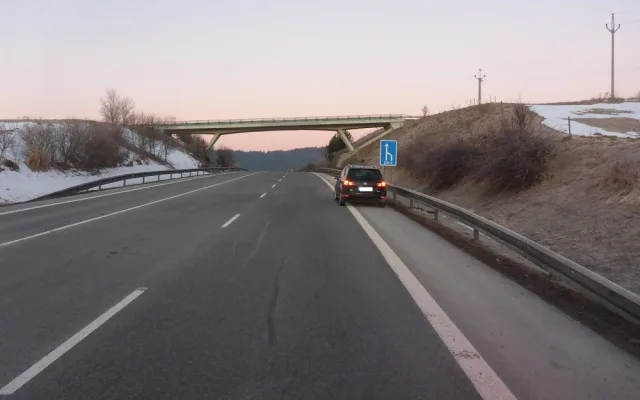 Nedaleko hranic s Německem srazil řidič vlka. Zvíře zraněním podlehlo