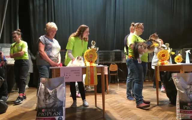 Ve Slavii soutěžily kočky o tituly krásy. Přijelo jich dvě stě