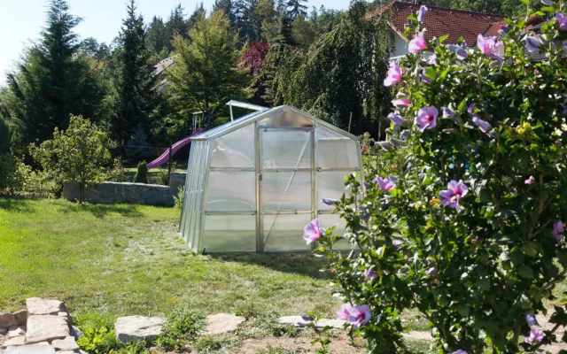 Grilovací sezona začíná. Kompletní vybavení najdete v Jihočeském Elektru