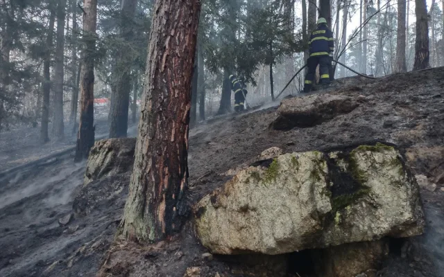 Hasiči druhý den bojují s požárem u Blanského lesa. Na místě zasahuje několik jednotek