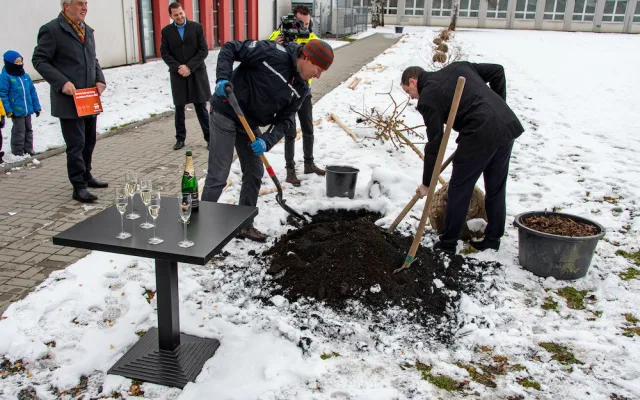 Vysokoškolský kampus v srdci Českých Budějovic se zazelenal