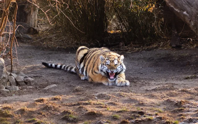 I v zoo na Hluboké oslaví Velikonoce