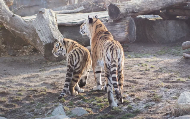 I v zoo na Hluboké oslaví Velikonoce