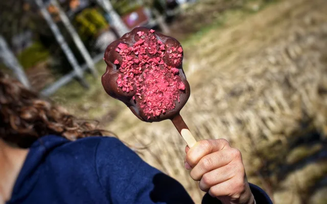 Království lesa na Lipně otevírá své brány