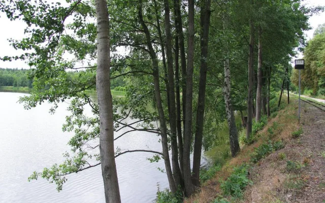 Čtyři rybníky na Jindřichohradecku jsou nově přírodními památkami