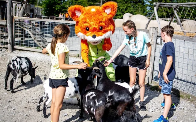 Navštivte víkendové animační programy v Království lesa