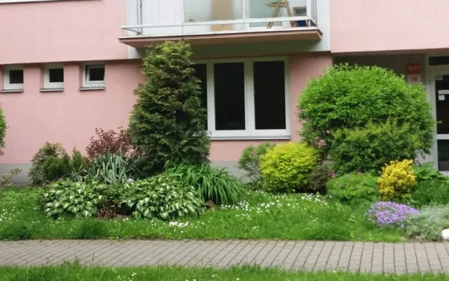 Radnice rozdává štědré ceny za květiny