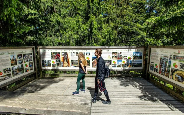 Nová porce adrenalinu na Stezce korunami stromů a výstava fotografií k tomu