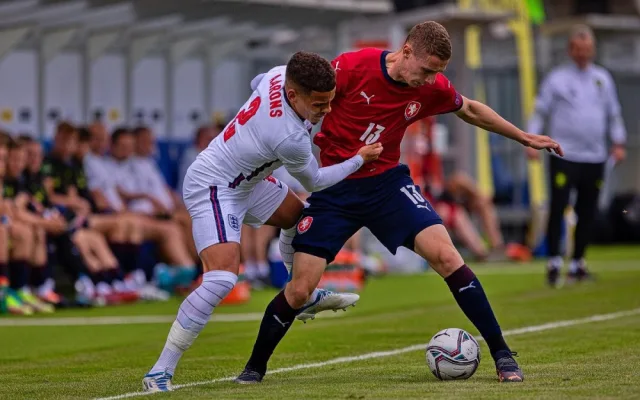 Lvíčata doma prohrála 1:2.