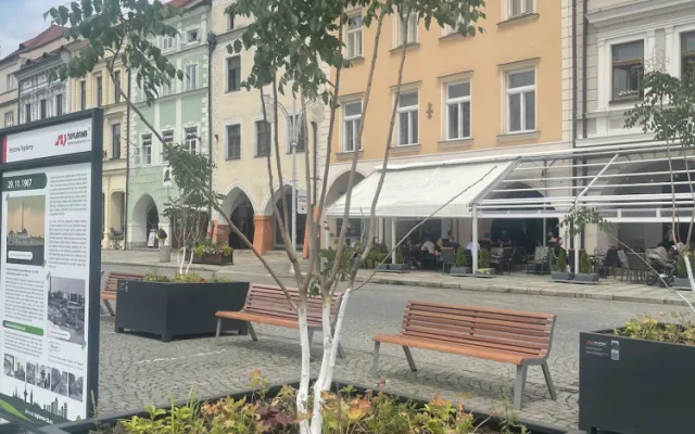Na budějcké náměstí se vrátily stromy