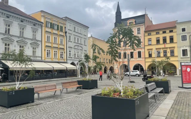 Na budějcké náměstí se vrátily stromy
