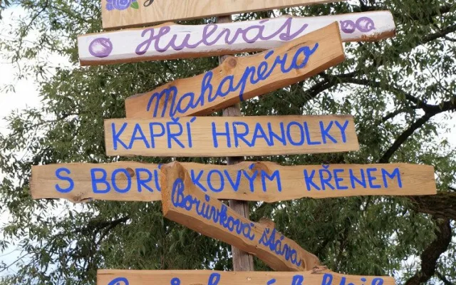 Přijeďte o víkendu na borovanské Borůvkobraní