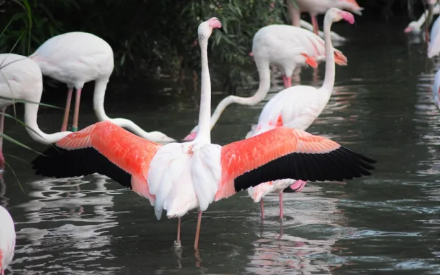 Návštěva zoologické zahrady když se setmí?
