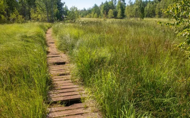 Národní park uzavře Soumarské rašeliniště. Kvůli stavbě