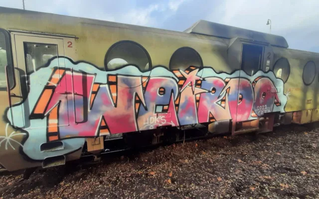 Neznámý vandal posprejoval několik vagonů.