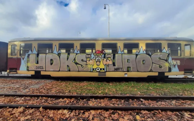 Neznámý vandal posprejoval několik vagonů.