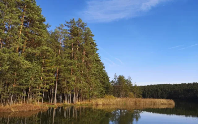 Staňkovský rybník je rozlohou osmý největší rybník v Jihočeském kraji.