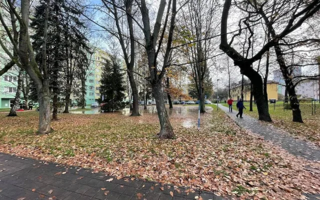 Část Budějc byla od rána bez vody. V Plzeňské prasklo potrubí